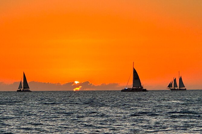 2 Hour Private Dolphin and Sightseeing Tour Shell Island - Captains who shape the feel of the trip