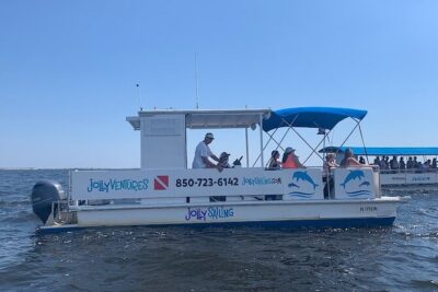 2 Hour Private Dolphin Cruise & Bay Tour