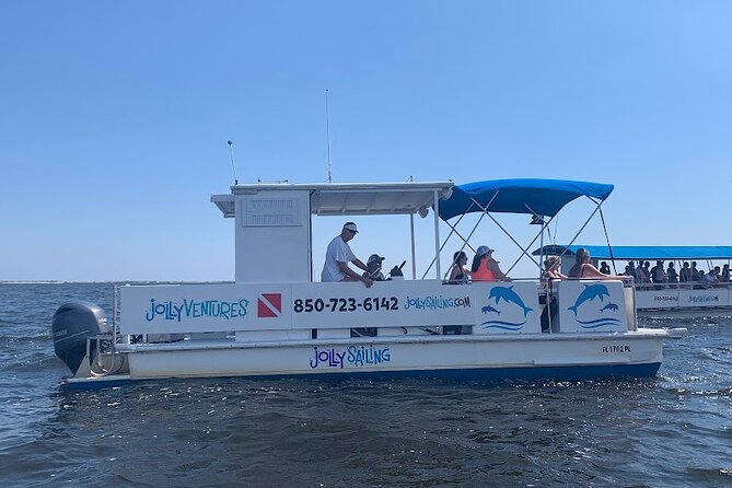 2 Hour Private Dolphin Cruise & Bay Tour - Two hours of wildlife watching