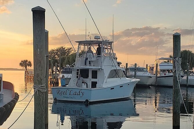 2 Hour Private Dolphin Sightseeing Tour - Key points at a glance