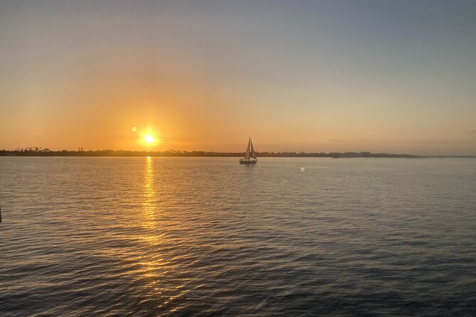 2 Hour Private Dolphin Sightseeing Tour - A sunset ride on St. Andrews Bay
