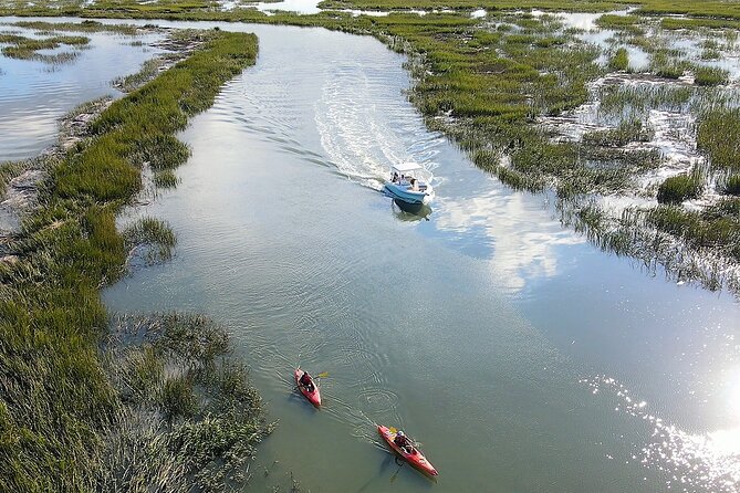 2-Hour Private Hilton Head Dolphin Watching Cruise - Key points to know before booking