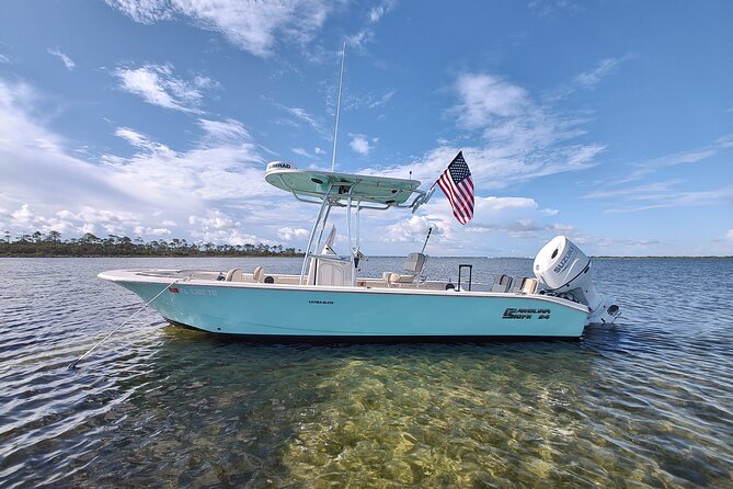 2-Hour Private Sightseeing Dolphin Tour in Panama City Beach - Key points to know before you book