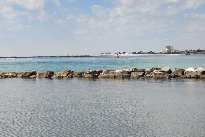 2-Hour Private Sightseeing Dolphin Tour in Panama City Beach - Shell Island gives the trip a second focus