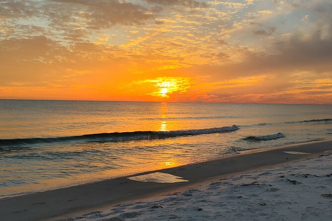2-Hour Private Sightseeing Dolphin Tour in Panama City Beach - Snorkeling, swimming, and what to pack