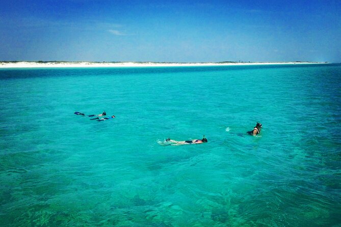 2-Hour Private Sightseeing Dolphin Tour in Panama City Beach - Weather, cancellations, and practical value
