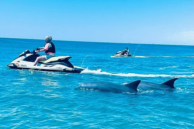 2 Hour Shell Island Jet Ski Dolphin Tour - Key points before you book