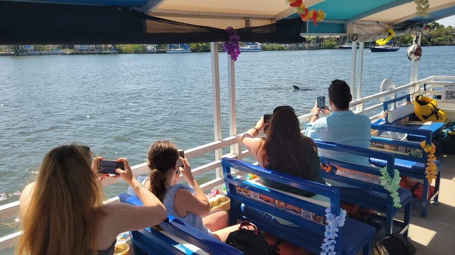 2 Hour Tiki Dolphin Sightseeing Tour in Cocoa Beach - Who Will Enjoy This Boat Ride Most?
