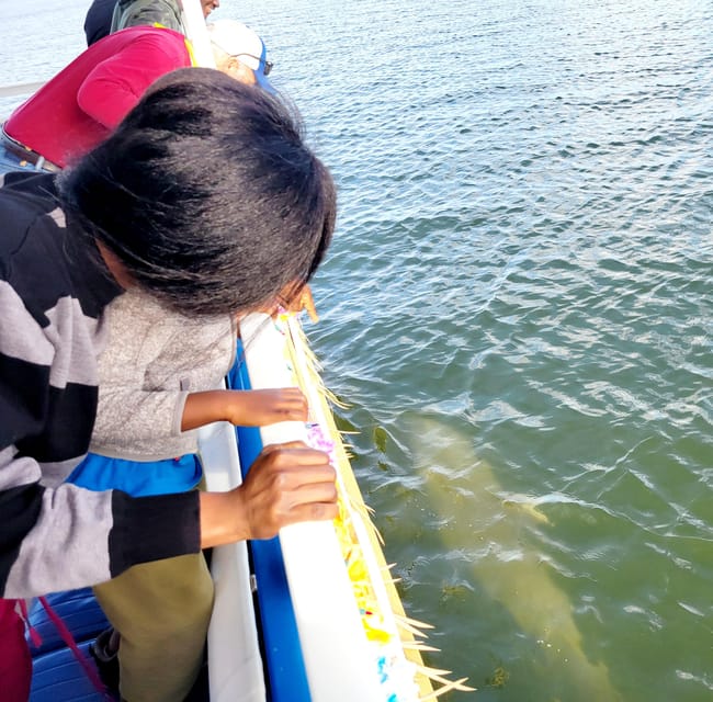 2 Hour Tiki Dolphin Sightseeing Tour in Cocoa Beach - Practical Tips for a Smoother Trip