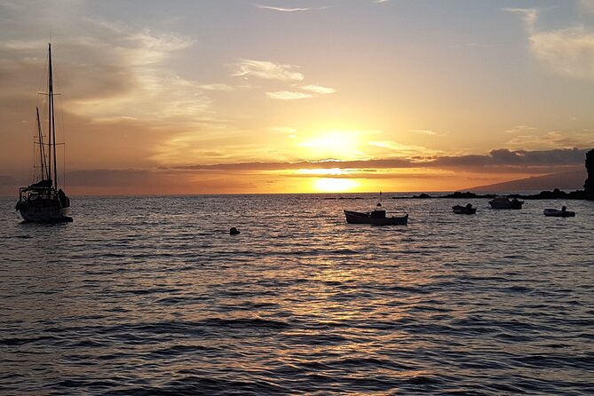 2 hour trip to see whales dolphins puerto colon adeje - Why the small group changes the experience