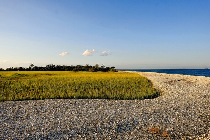 2 Hours Dolphin Eco Tour - The Talmadge Memorial Bridge and Savannah’s Working River