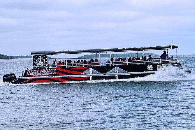 2 Hours Dolphin Eco Tour - Price, Food, and What to Bring