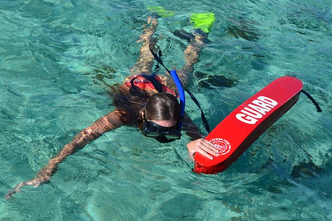 2-Hours Dolphin Excursion in Mauritius - Equipment, guidance, and time in the water
