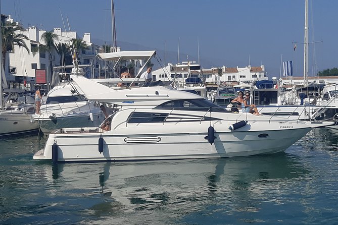 2 Hours Dolphin Watching in Marbella - Swimming, snorkeling, and paddle surfing