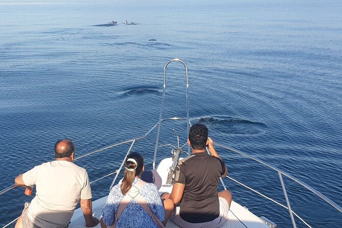 2 Hours Dolphin Watching in Marbella - Who will enjoy this boat trip most?