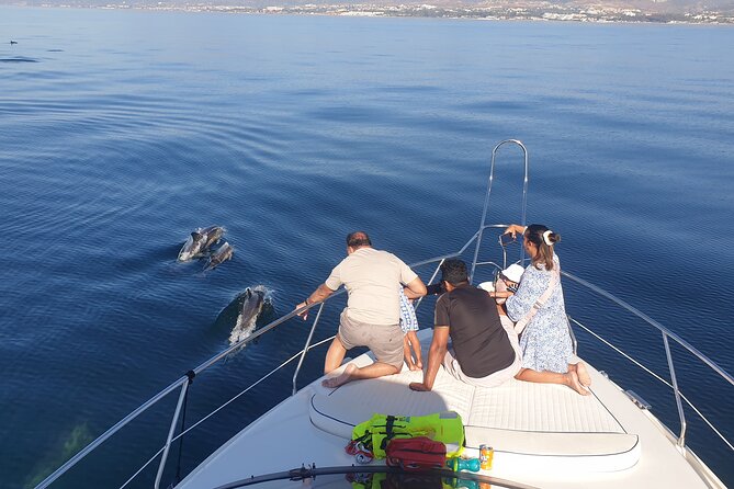 2 Hours Dolphin Watching in Marbella - The dolphin search and the 50% question