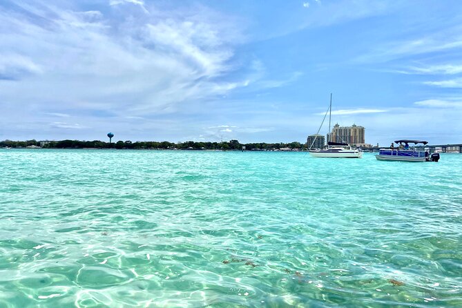 2 Hours Guided Dolphin Tour in Florida - Key points to know before you go