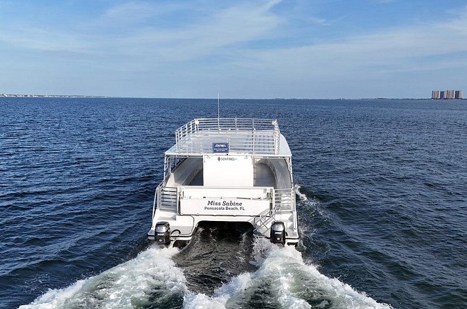 2 HR Dolphin Tour in North Myrtle Beach - Snacks, seating, and practical comfort