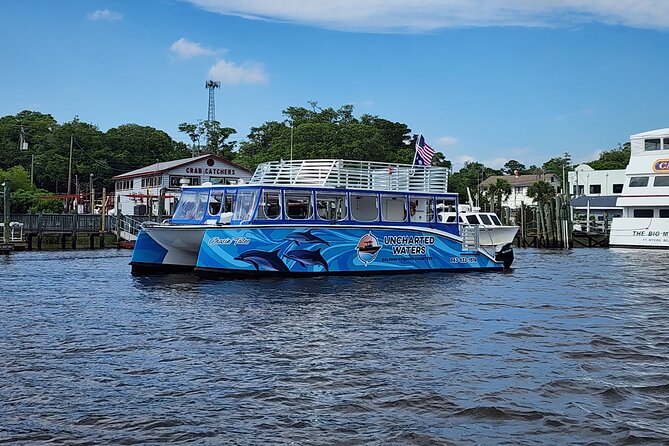2 HR Dolphin Tour in North Myrtle Beach - What you may see along the route