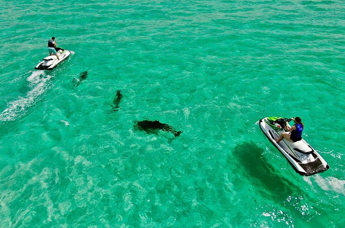 2 Passenger Jet Ski Dolphin Tour from Gilligan’s Watersports - Who will enjoy this Destin outing?