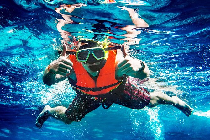 2-Stop Snorkeling and Dolphin Cruise from Destin - Stop two: Coast Guard Flats and the small-creature hunt