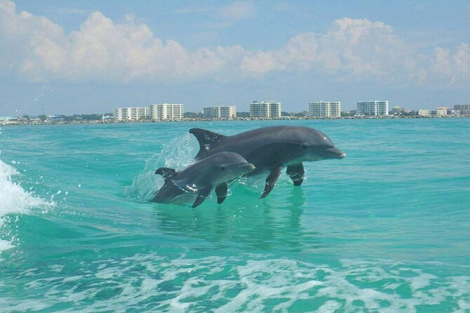 2-Stop Snorkeling and Dolphin Cruise from Destin - How good is the snorkeling for adults and children?