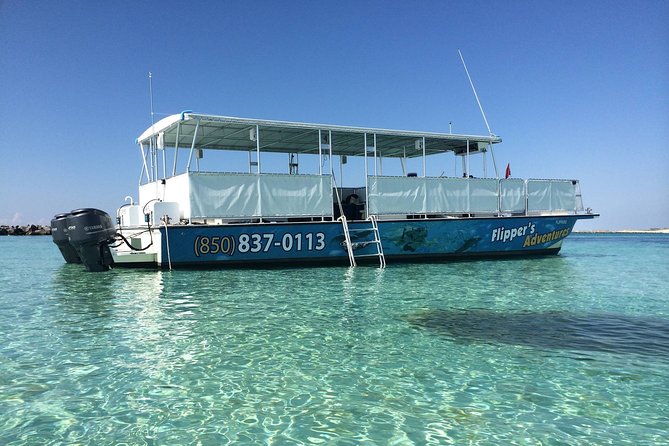 2-Stop Snorkeling and Dolphin Cruise from Destin - Stop one: easy snorkeling near the Destin jetties