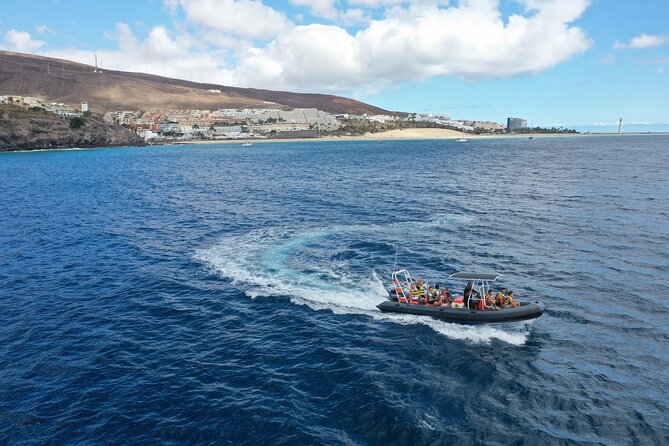2h Dolphin and Whale Viewing + Snorkeling Tour - The fast ride along Fuerteventura’s coast