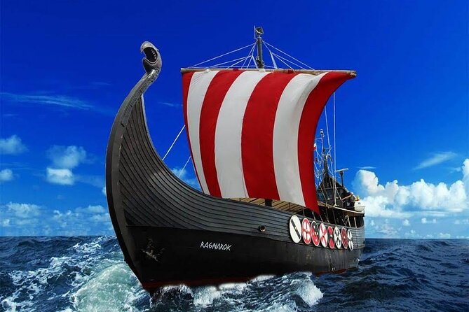 2h Viking Cruise Whales & Dolphins Watching - Coastal views and a lively onboard atmosphere
