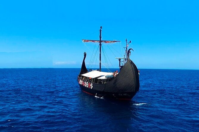 2h Viking Cruise Whales & Dolphins Watching - What $24.19 really buys you