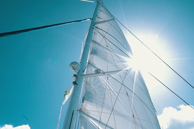 2hrs Dolphins Sunset Sailing Cruise With Drink - Who will enjoy this two-hour cruise