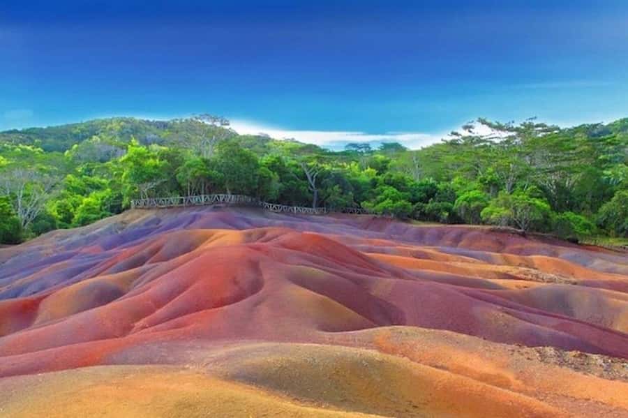 3-Day Private Tour of Mauritius with Optional Dolphin Swim - South Mauritius, tea country, tortoises, and the coast