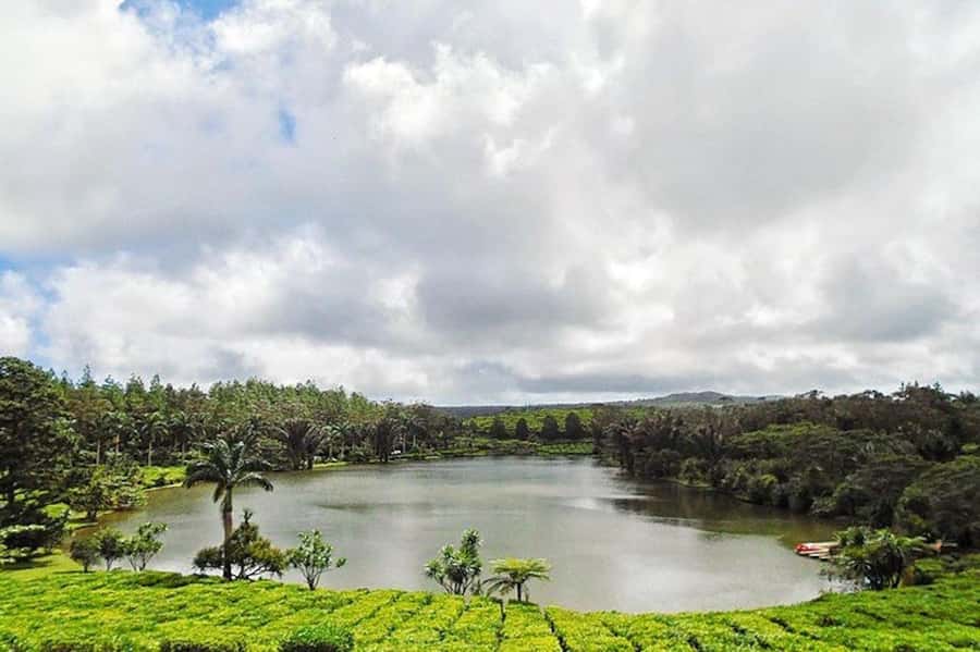 3-Day Private Tour of Mauritius with Optional Dolphin Swim - Adding the wild dolphin swim