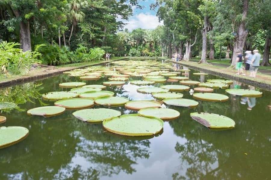 3-Day Private Tour of Mauritius with Optional Dolphin Swim - Final call: book it for coverage and flexibility