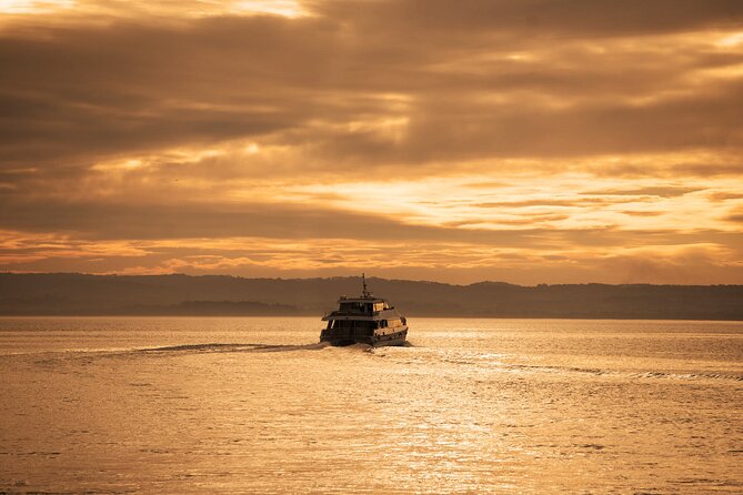 3-Hour Dolphin and Seal Sightseeing Cruise, operated with swim tour passengers - The important difference between sightseeing and swimming