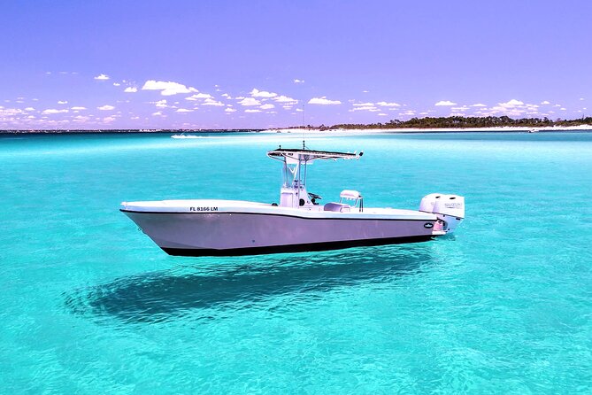 3 Hour Dolphin Tour and Snorkeling in Shell Island - Key Points Before You Book