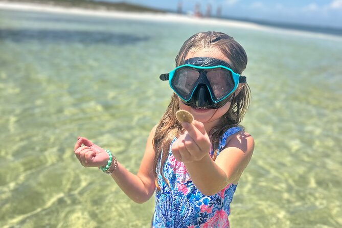 3 Hour Dolphin Tour and Snorkeling in Shell Island - Snorkeling for Sand Dollars and Sea Life