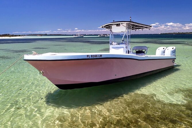3 Hour Dolphin Tour and Snorkeling in Shell Island - Why the Private Price Can Make Sense