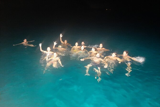 3-Hour Dolphin watching at sunset with aperitif - Looking for dolphins in open water