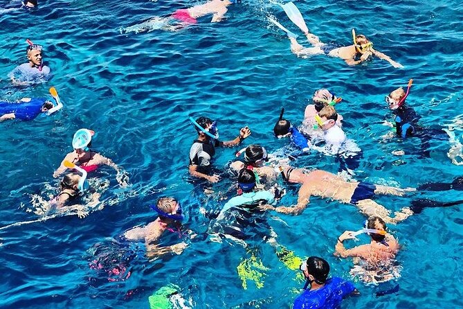 3 Hour Snorkeling and Dolphin Watching Experience in Muscat - Key points to know before you go