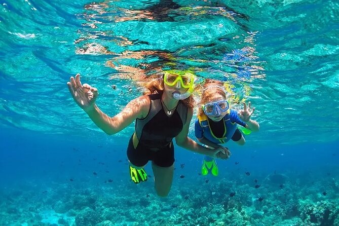3 Hour Snorkeling and Dolphin Watching Experience in Muscat - Captain Sapir and the human side of the trip