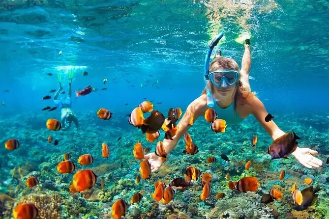 3 Hour Snorkeling and Dolphin Watching Experience in Muscat - Practical details that affect your day
