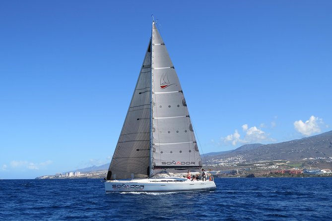 3 Hours All Inclusive Whale and Dolphin Whatching Yacht Trip - A small yacht, open water, and Tenerife’s western coast