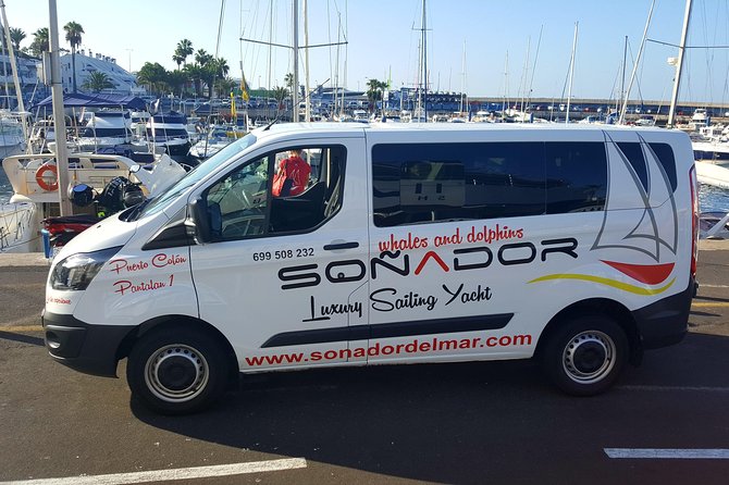 3 Hours All Inclusive Whale and Dolphin Whatching Yacht Trip - Swimming, snorkeling, and paddleboarding