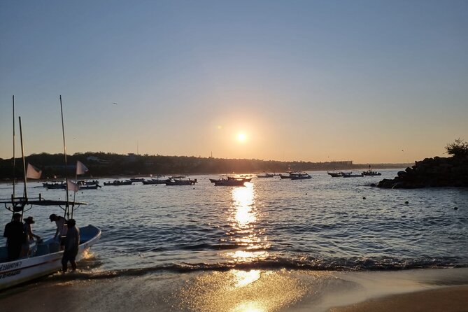 3-Hours Dolphin and Turtle Watching in Puerto Escondido - What the captain-guide adds