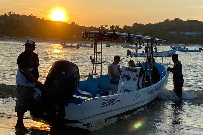 3-Hours Dolphin and Turtle Watching in Puerto Escondido - Booking, weather, and cancellation details