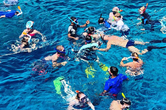 3-Hr Private Snorkeling and Dolphin Watching Tour at Muscat - Is $549 good value for up to 12 people?