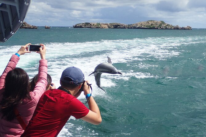 3 Island Wildlife Snorkel - Visiting several islands without rushing the morning