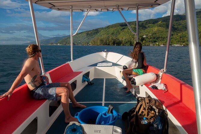 3h dolphin and snorkeling tour in a wild lagoon with Mobydick - Snorkeling over coral formations in Maraa