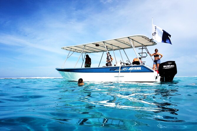 3h dolphin and snorkeling tour in a wild lagoon with Mobydick - Is the $144.54 price a fair deal?